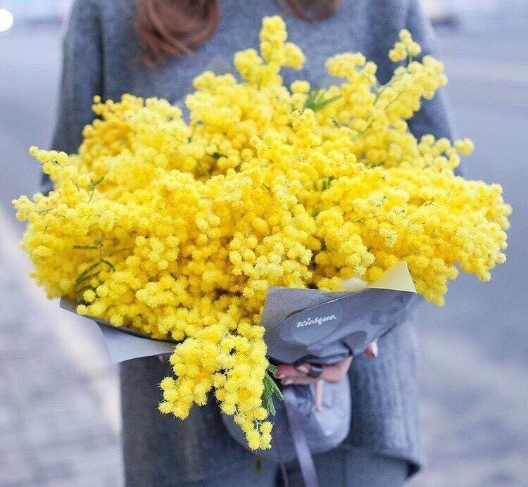 Giallo mimosa - Oltrelatavola