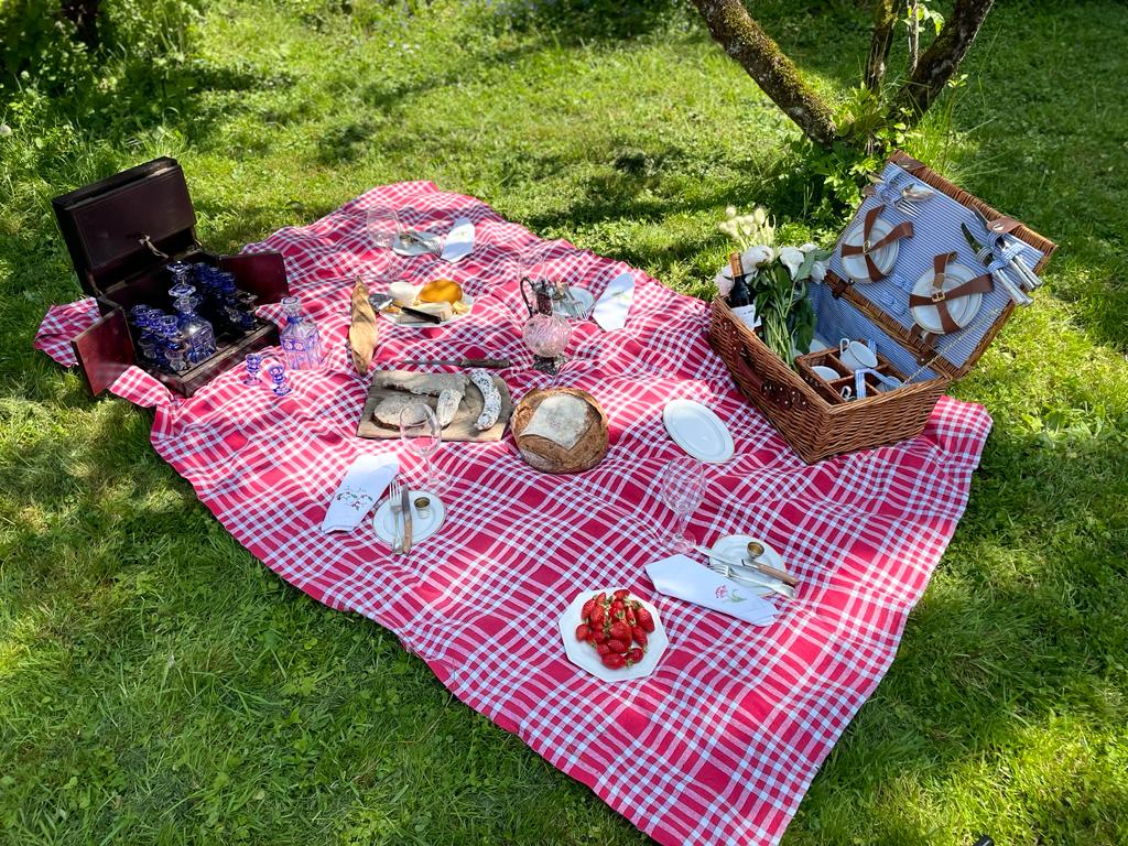 Pic-Nic sull'erba con tovaglia a scacchi rossi e bianchi