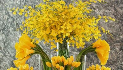 DECOR & GARDENING